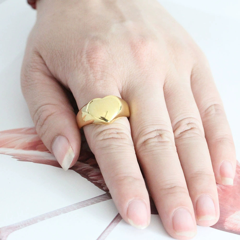 365 Stainless Steel Punk Rock  - Initial Ring Custom 评论和价格